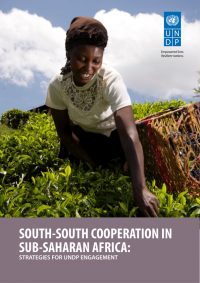 South-South Cooperation in sub-Saharan Africa: strategies for UNDP engagement